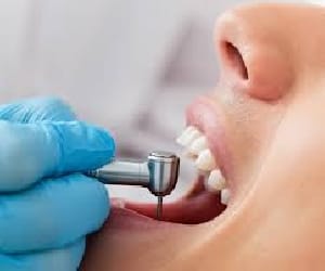 dental doctor posting in uttarakhand.